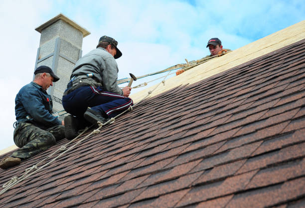 Best Roof Gutter Cleaning  in Osawatomie, KS
